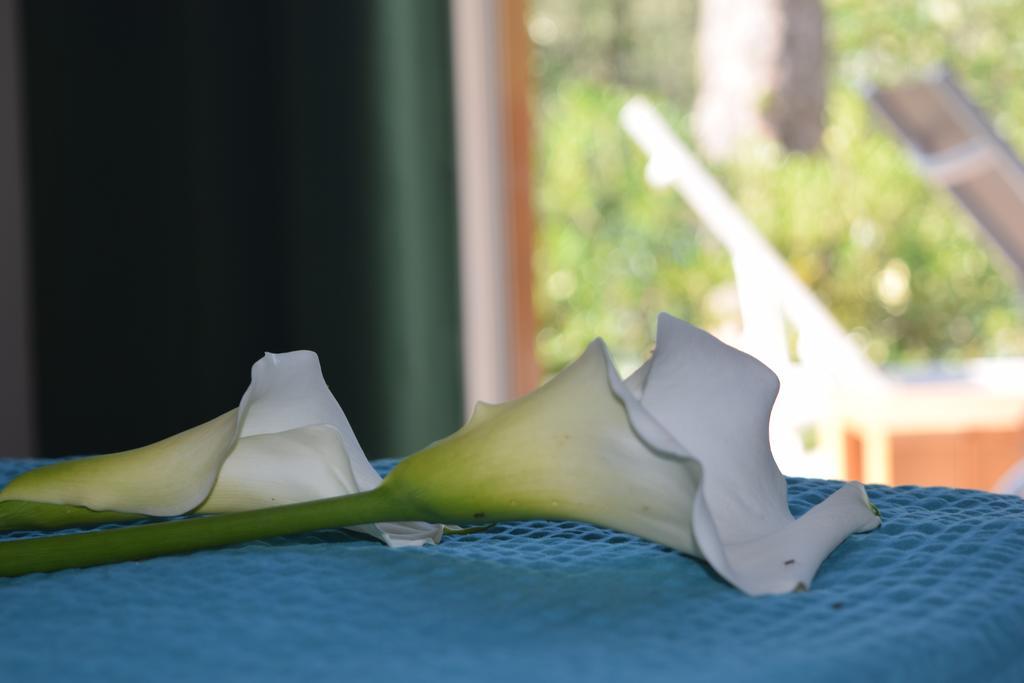 "Casabana" - Relax Tutto L'Anno - Giardino - Piscina Top Малчезине Екстериор снимка